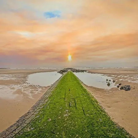 Chic Flat With Bunk Beds アパート